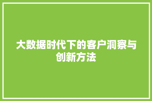 大数据时代下的客户洞察与创新方法