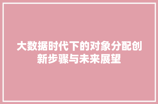 大数据时代下的对象分配创新步骤与未来展望
