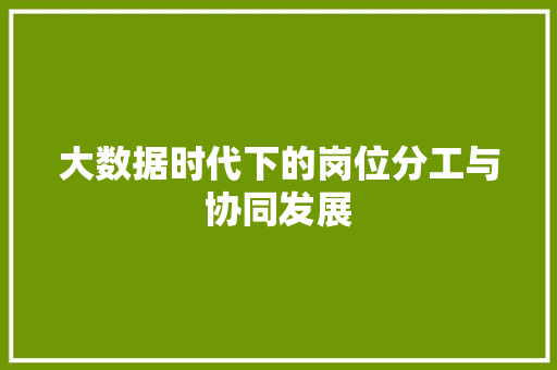 大数据时代下的岗位分工与协同发展