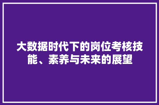 大数据时代下的岗位考核技能、素养与未来的展望