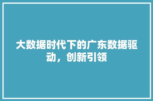 大数据时代下的广东数据驱动，创新引领