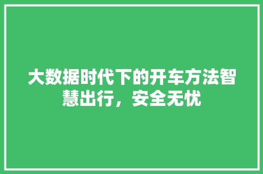 大数据时代下的开车方法智慧出行，安全无忧