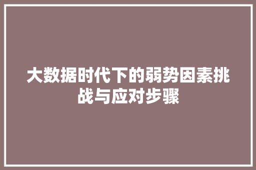 大数据时代下的弱势因素挑战与应对步骤