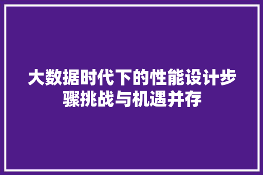 大数据时代下的性能设计步骤挑战与机遇并存