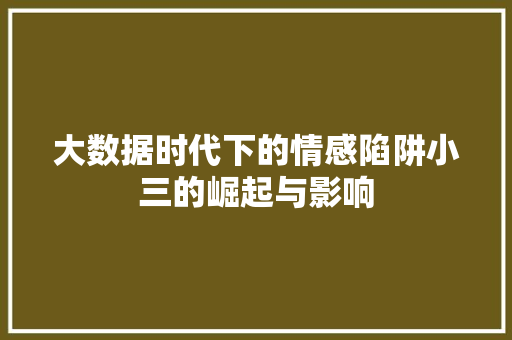 大数据时代下的情感陷阱小三的崛起与影响