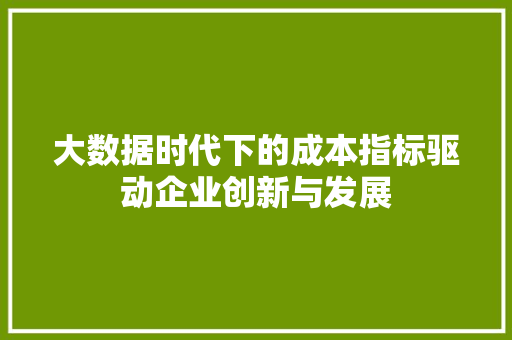 大数据时代下的成本指标驱动企业创新与发展