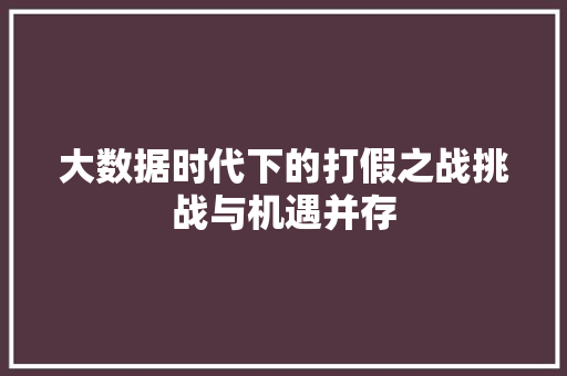 大数据时代下的打假之战挑战与机遇并存 WordPress教程