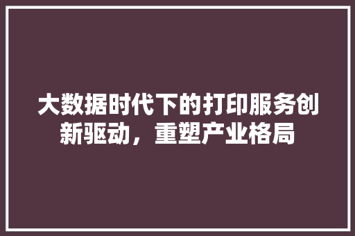 大数据时代下的打印服务创新驱动，重塑产业格局 服务器/数据库
