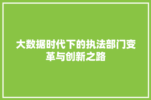 大数据时代下的执法部门变革与创新之路