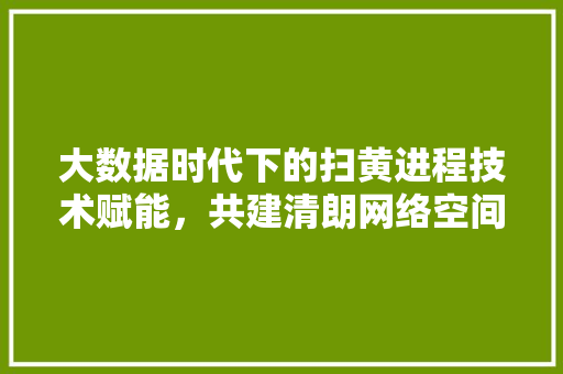 大数据时代下的扫黄进程技术赋能，共建清朗网络空间