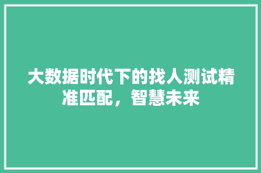 大数据时代下的找人测试精准匹配，智慧未来