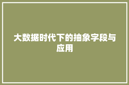 大数据时代下的抽象字段与应用