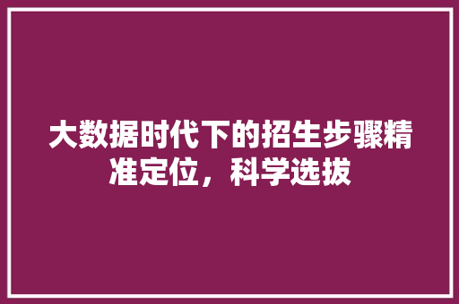 大数据时代下的招生步骤精准定位，科学选拔 SEO教程