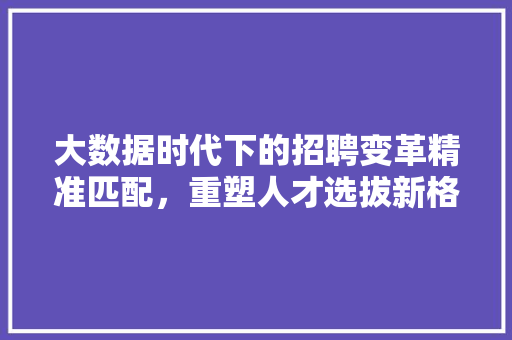 大数据时代下的招聘变革精准匹配，重塑人才选拔新格局 Web前端