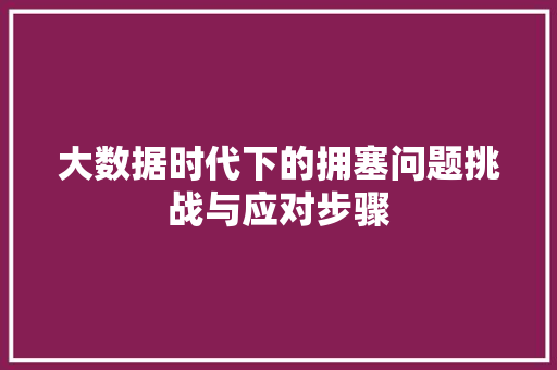 大数据时代下的拥塞问题挑战与应对步骤