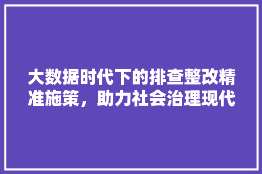 大数据时代下的排查整改精准施策，助力社会治理现代化