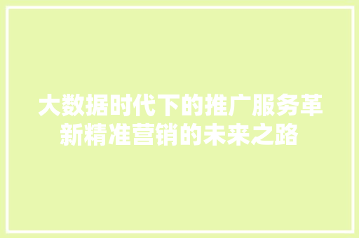 大数据时代下的推广服务革新精准营销的未来之路