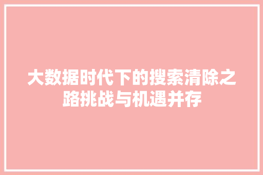 大数据时代下的搜索清除之路挑战与机遇并存