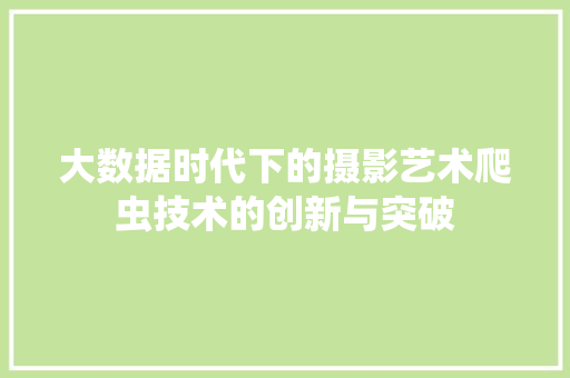 大数据时代下的摄影艺术爬虫技术的创新与突破 Web前端