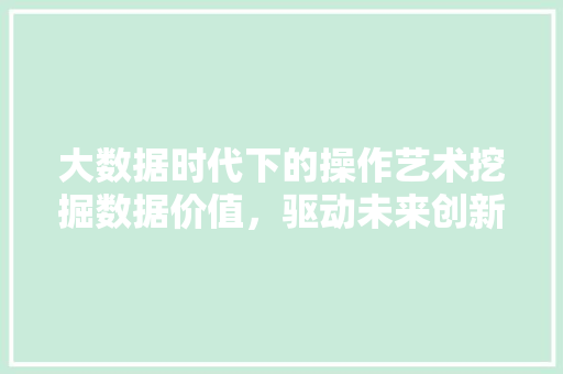 大数据时代下的操作艺术挖掘数据价值，驱动未来创新