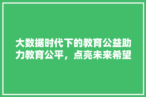 大数据时代下的教育公益助力教育公平，点亮未来希望