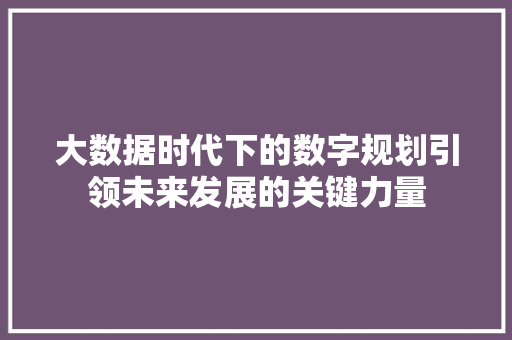 大数据时代下的数字规划引领未来发展的关键力量