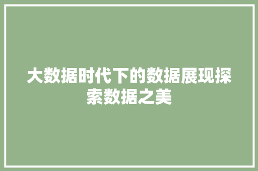 大数据时代下的数据展现探索数据之美