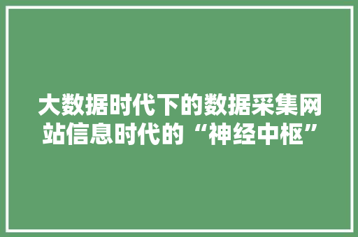 大数据时代下的数据采集网站信息时代的“神经中枢”