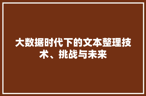大数据时代下的文本整理技术、挑战与未来
