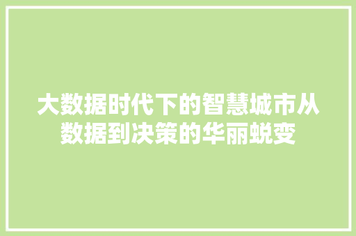 大数据时代下的智慧城市从数据到决策的华丽蜕变