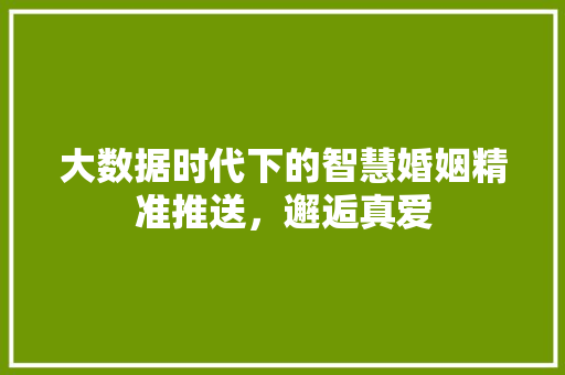大数据时代下的智慧婚姻精准推送，邂逅真爱