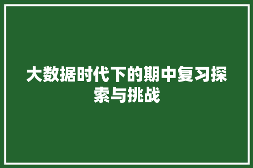 大数据时代下的期中复习探索与挑战