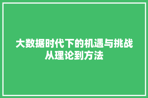 大数据时代下的机遇与挑战从理论到方法