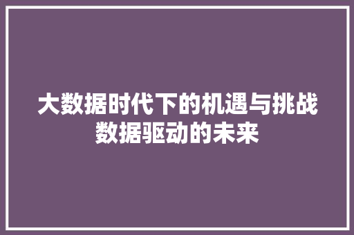 大数据时代下的机遇与挑战数据驱动的未来