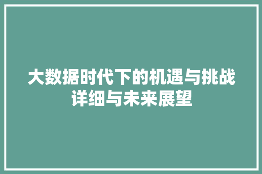 大数据时代下的机遇与挑战详细与未来展望