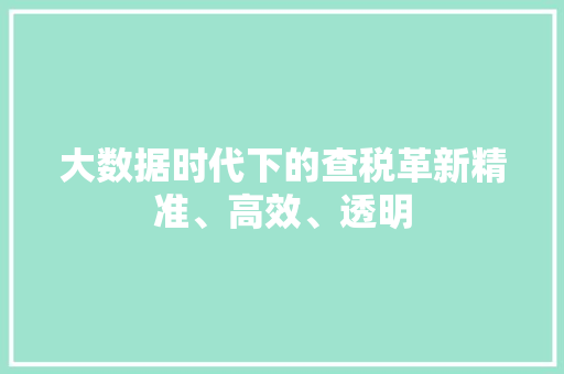 大数据时代下的查税革新精准、高效、透明