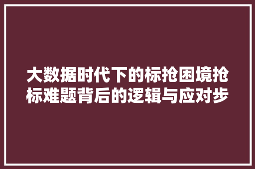 大数据时代下的标抢困境抢标难题背后的逻辑与应对步骤