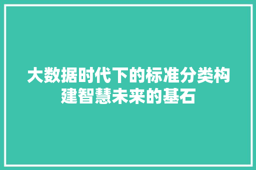 大数据时代下的标准分类构建智慧未来的基石