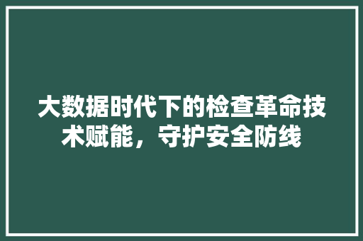 大数据时代下的检查革命技术赋能，守护安全防线