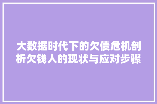 大数据时代下的欠债危机剖析欠钱人的现状与应对步骤