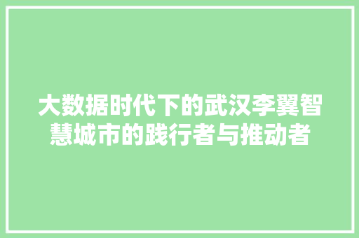 大数据时代下的武汉李翼智慧城市的践行者与推动者