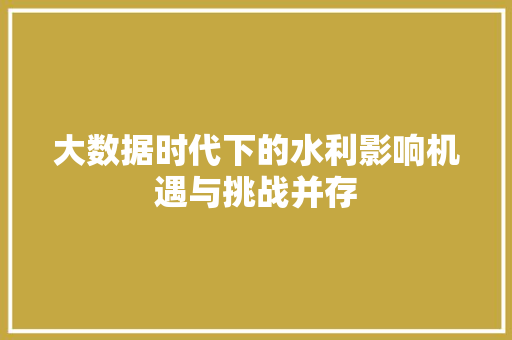 大数据时代下的水利影响机遇与挑战并存