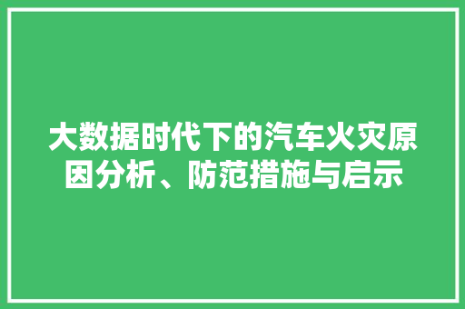 大数据时代下的汽车火灾原因分析、防范措施与启示