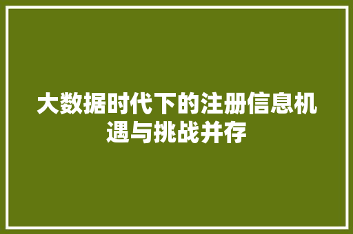 大数据时代下的注册信息机遇与挑战并存