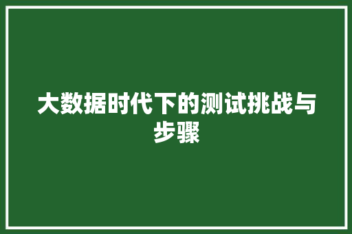 大数据时代下的测试挑战与步骤