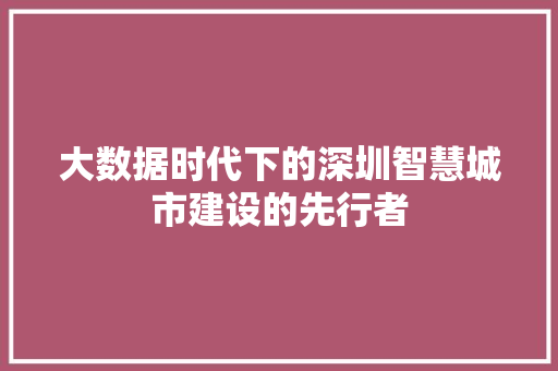 大数据时代下的深圳智慧城市建设的先行者