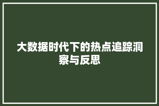 大数据时代下的热点追踪洞察与反思