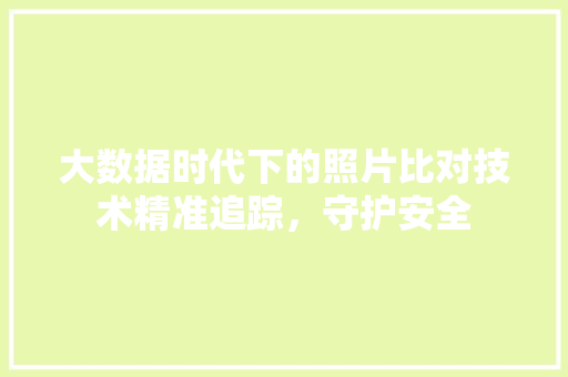 大数据时代下的照片比对技术精准追踪，守护安全