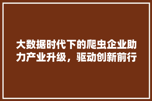 大数据时代下的爬虫企业助力产业升级，驱动创新前行