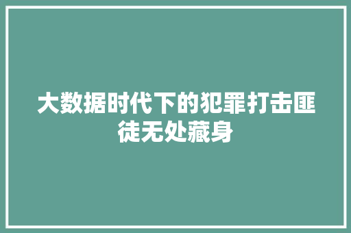 大数据时代下的犯罪打击匪徒无处藏身